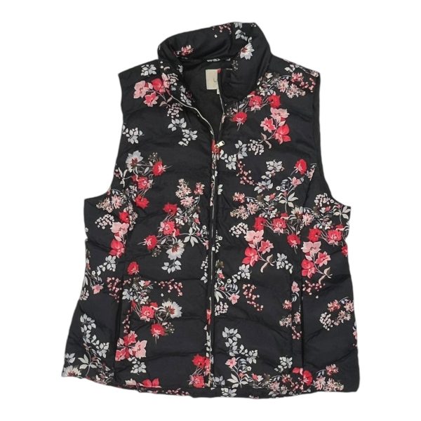 Vest Puffer & Quilted By Loft In Black, Size:M Sale