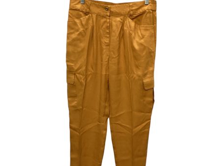 Pants Other By Chicos In Yellow, Size: S Supply