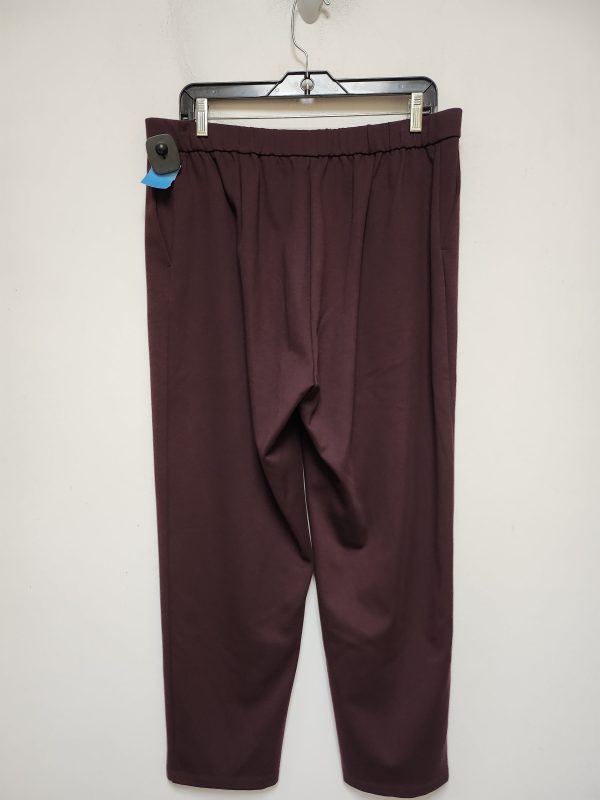 Pants Other By Eileen Fisher In Maroon, Size: 12 Fashion