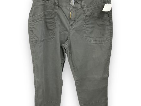 Pants Cargo & Utility By Clothes Mentor In Green, Size: 8p Online