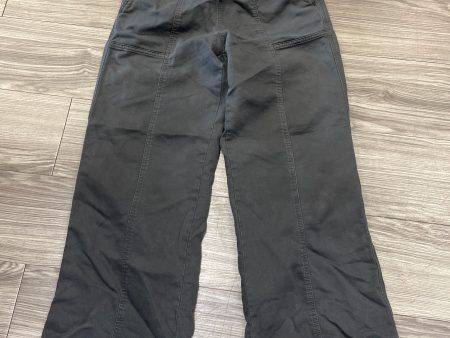 Pants Cargo & Utility By Aerie In Grey, Size: M For Sale