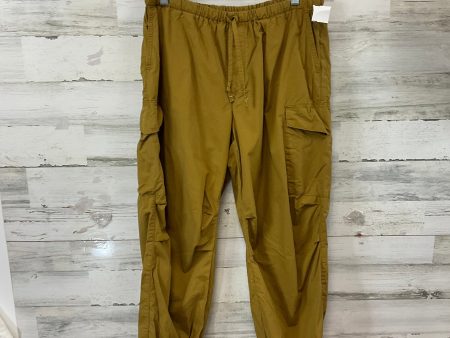 Pants Cargo & Utility By Pilcro In Tan, Size: Mp Online Sale