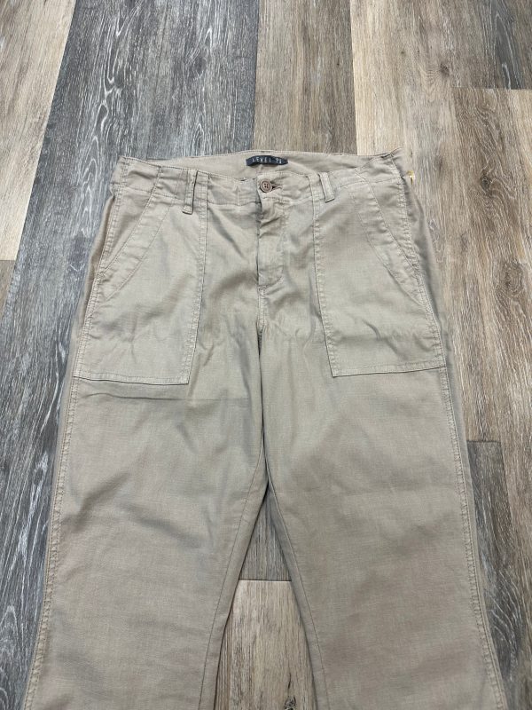 Pants Cargo & Utility By Level 99 In Tan, Size: 10 Supply