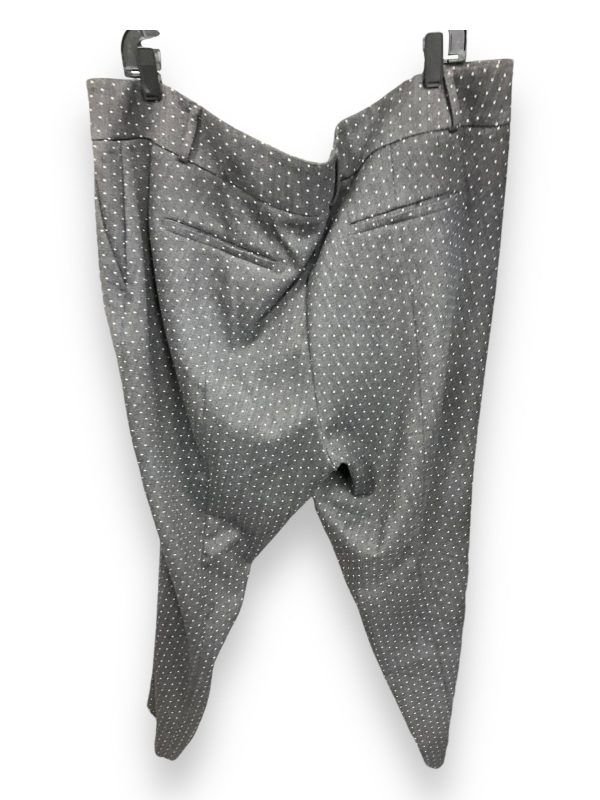 Pants Work dress By Loft In Grey, Size: 20 Online now