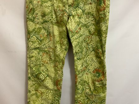 Pants Other By Pilcro In Green, Size: 10 For Cheap