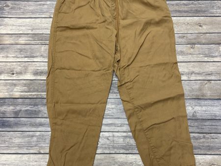 Pants Lounge By Loft In Brown, Size: Mp Discount