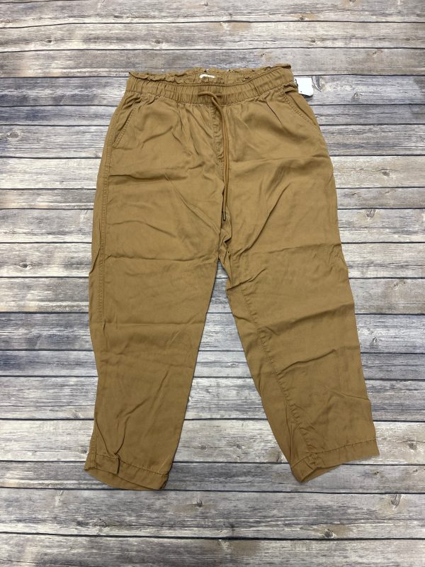 Pants Lounge By Loft In Brown, Size: Mp Discount